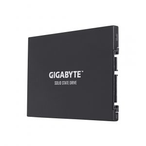 Твердотельный накопитель Gigabyte GSTFS30512GTTD